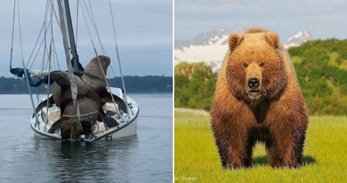 25 primjeraka koji su nas svojom veličinom ostavili bez teksta
