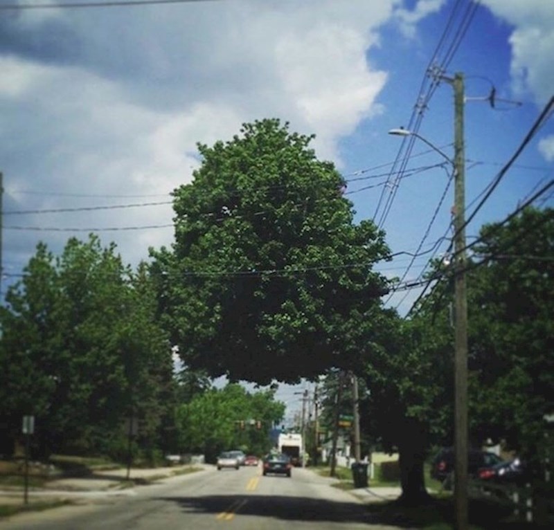 7. Upitnici nad glavom na najjače😟