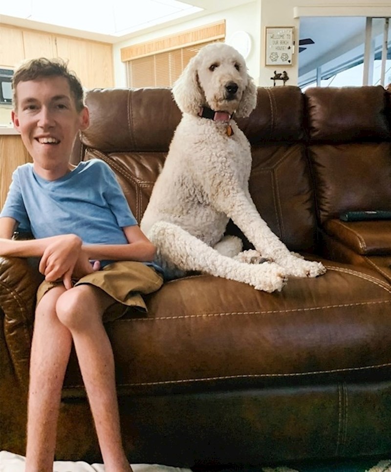 2. "Moj pas ima više kila od mene."