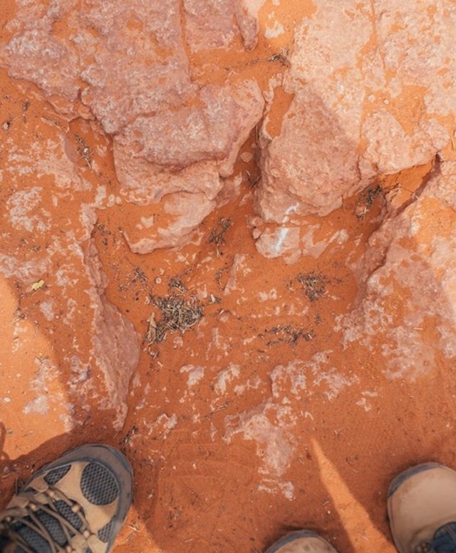 1. Netko je naišao na otiske stopala dinosaura tijekom šetnje jednim nacionalnim parkom u saveznoj američkoj državi Utah