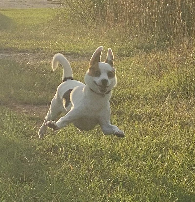 8. Trenutak čiste sreće🥰