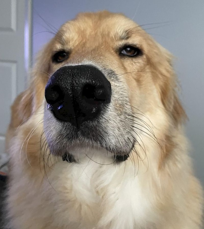 12. "Osuđuje moje životne odluke..."