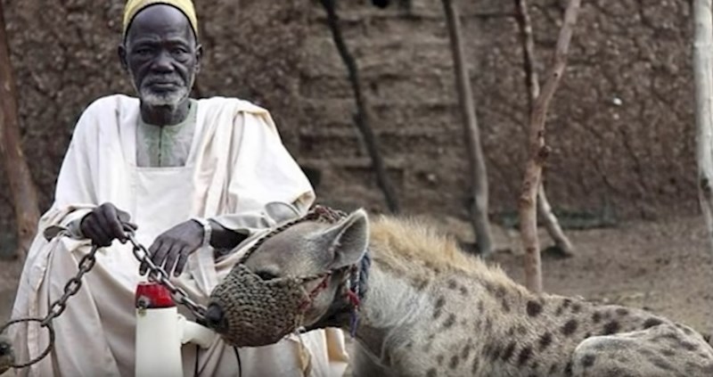 VIDEO 5 zastrašujućih životinja koje ljudi stvarno drže kao ljubimce