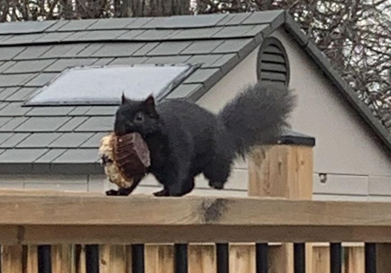 10. Ako je nekome nestao doručak, pronašli smo ga!😁