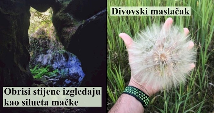16 rijetkih i fascinantnih prizora iz prirode koji ostavljaju bez daha