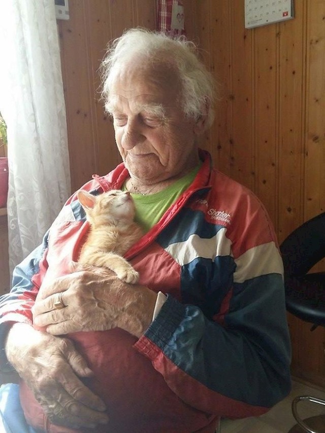 3.