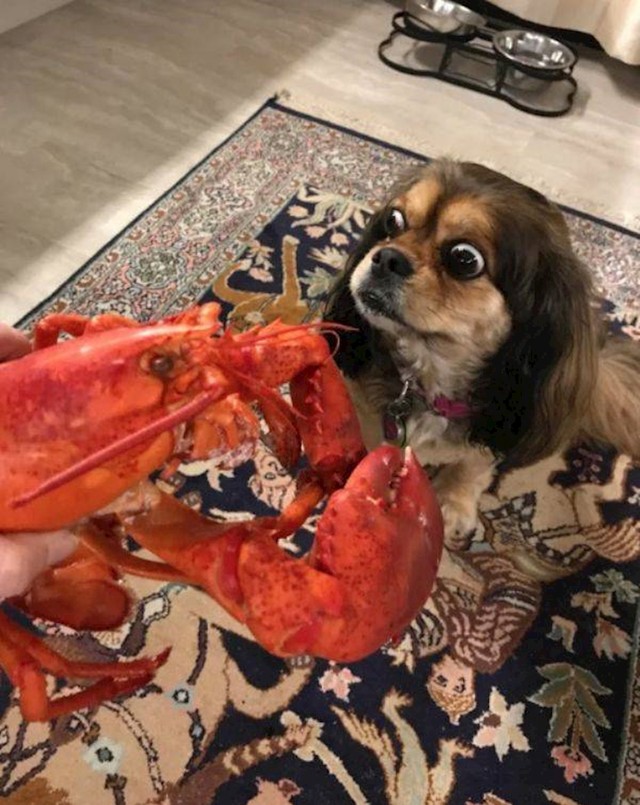 9.