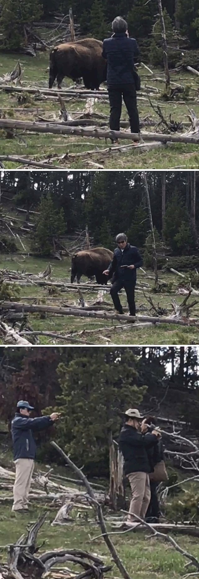 #21 Turisti rade neopisivo glupe stvari u Nacionalnom parku Yellowstone