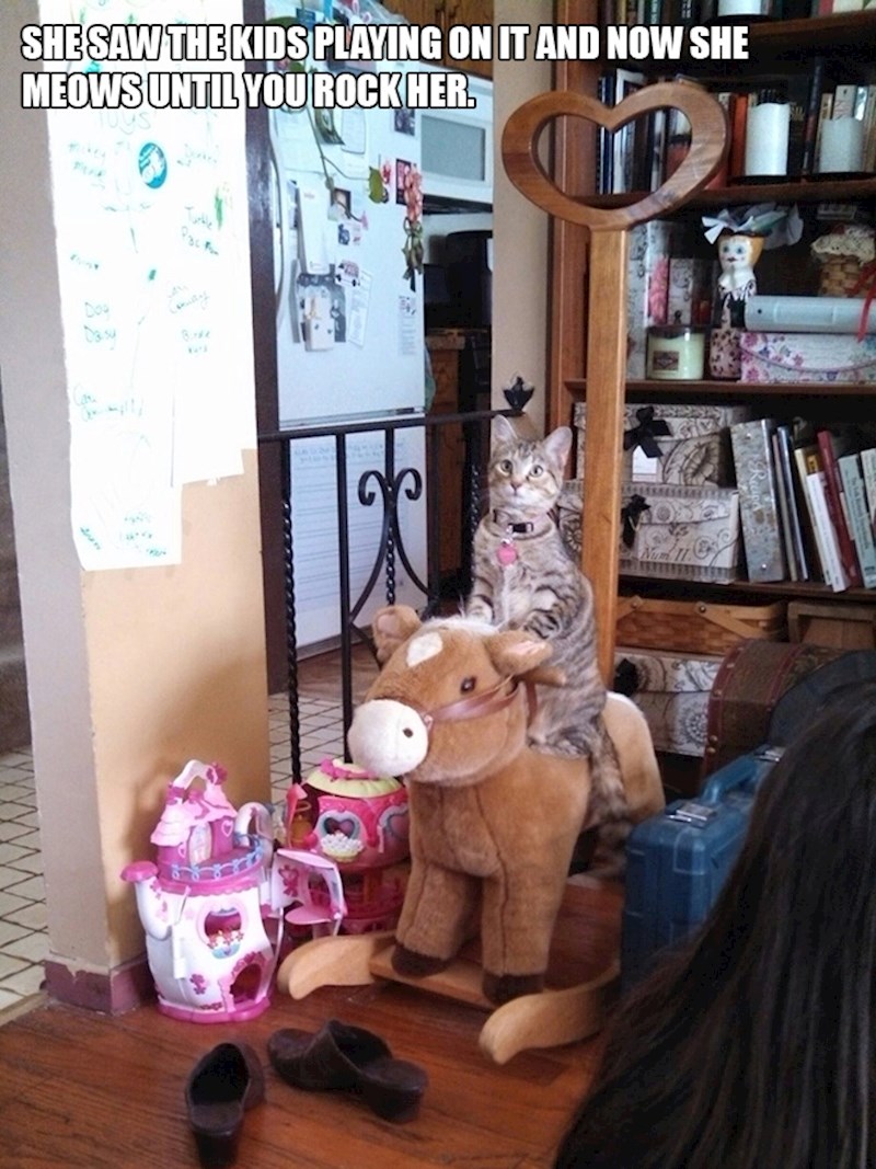 4. Vidjela je da se djeca igraju na ovome i sad sjedi na njemu i mijauče sve dok ju ne zaljuljate.😂