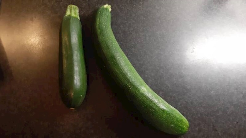 6. Kupovna tikvica i ona iz kućnog uzgoja