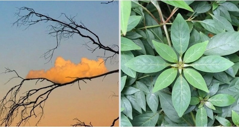 20 umirujućih fotografija koje će vas lansirati direktno u zen orbitu