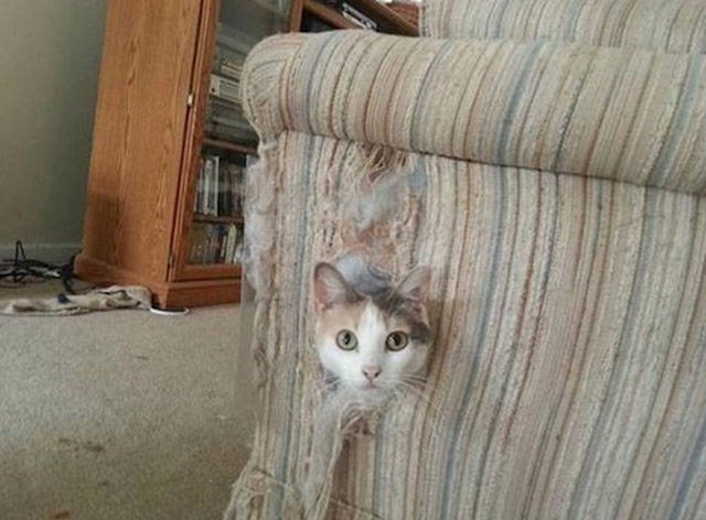 15.