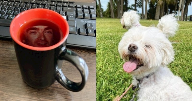 18 zeznutih fotki koje je teško shvatiti iz prve