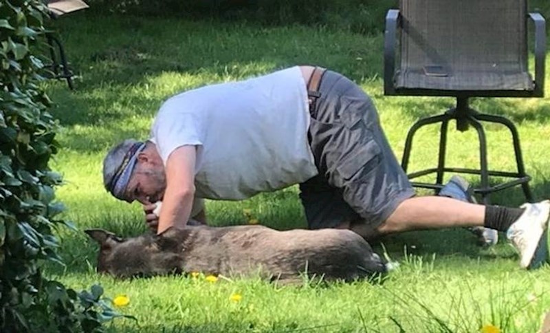 11. Rekao je da su psi obaveza za koju on nema vremena niti volje. Sad ljubi šapicu mom psu koji se ozlijedio u igri.