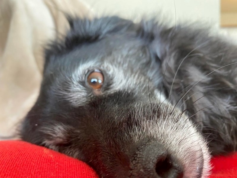 "Napravi ovo svaki put kad gledam mobitel."