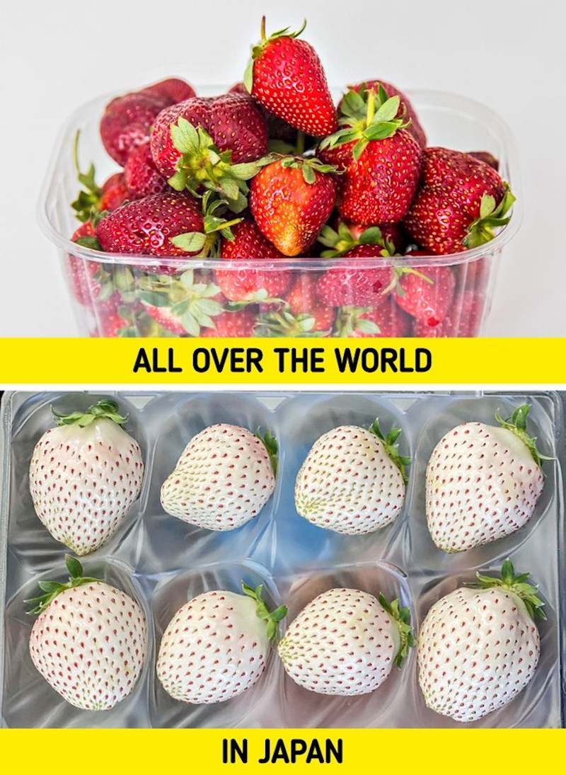 3. Bijele jagode. Kažu da imaju okus sličan ananasu...