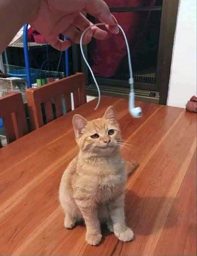15.