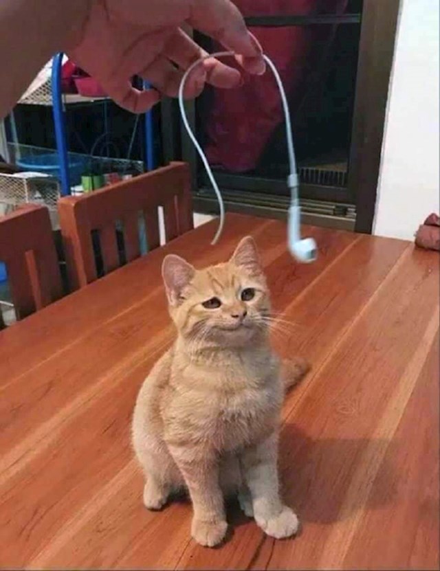 15.