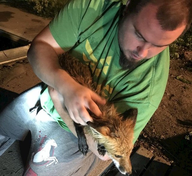 8. "Moj dečko sinoć je čuo buku oko jezera i primijetio da se ova lisica utapa. Spasio joj je život!"