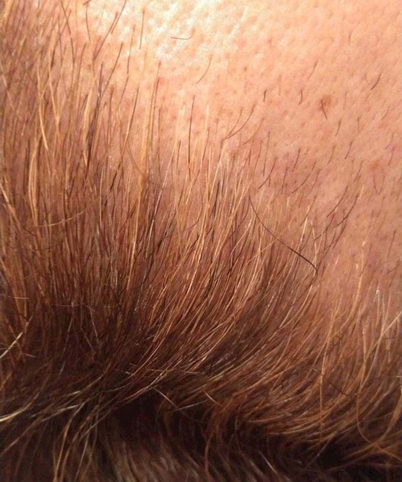 4. Brada mu raste u čak 5 različitih boja!