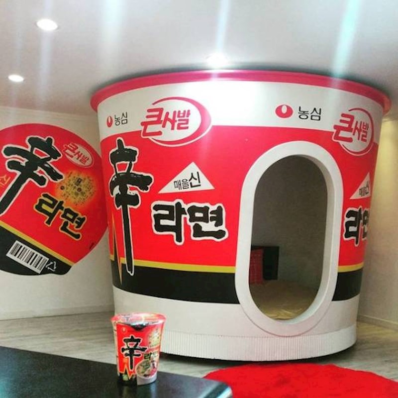 7. Možete prespavati u posudi za ramen