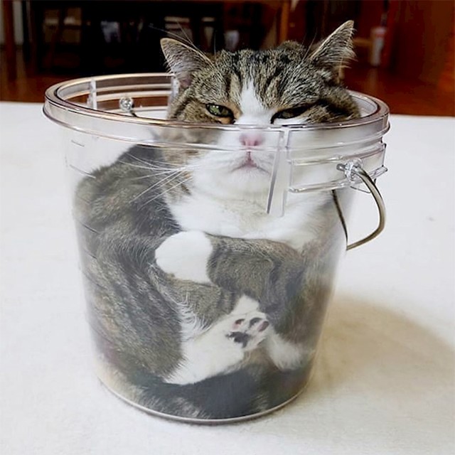 20.