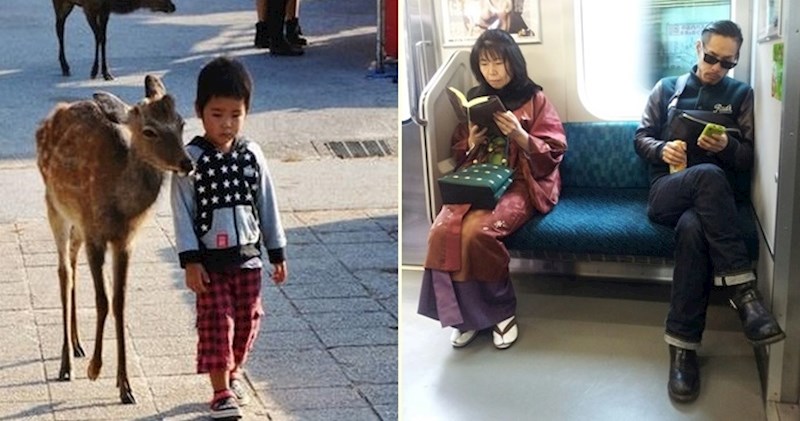 17 neobičnih fotografija zbog kojih ćete odmah poželjeti otići u Japan