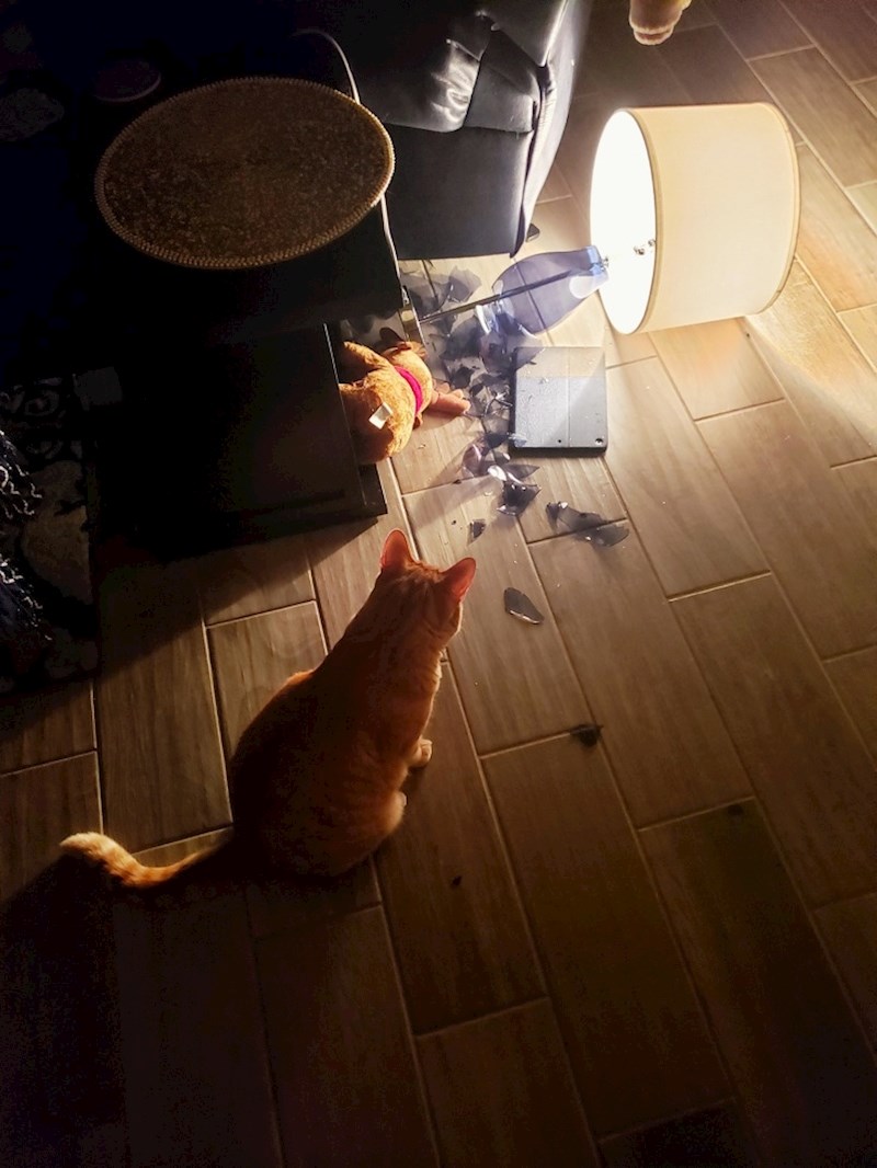 23. Divi se svojem djelu.