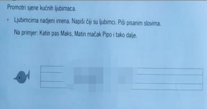 Ekipa s Fejsa umire od smijeha na odgovore koje je ovaj klinac napisao u školskom zadatku