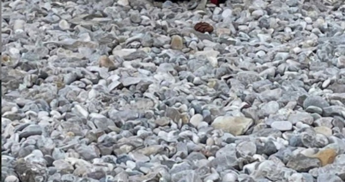 Ženi je na plaži bilo neudobno za glavu pa je problem riješila na urnebesan način i nasmijala tisuće
