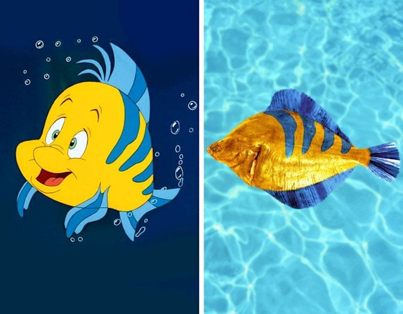 13. Flounder (Mala sirena)