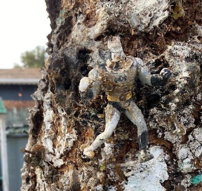 9. Batman koji je srasao s drvetom.