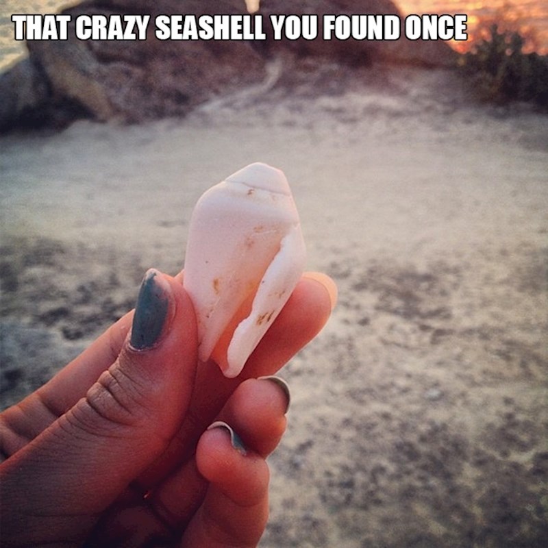 2. Fotke školjkica s plaže.
