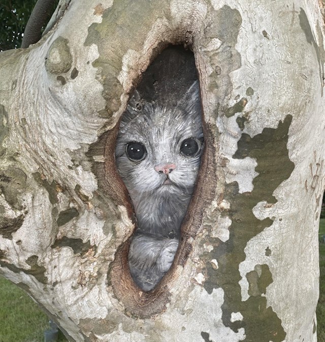 7. Netko je na stablu nacrtao mačku. Jako realističnu mačku.