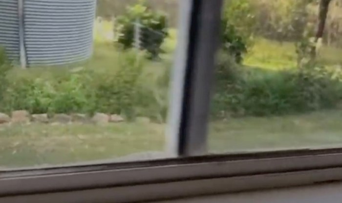 Osoba iz Australije snimila je zastrašujuć prizor na svojem prozoru