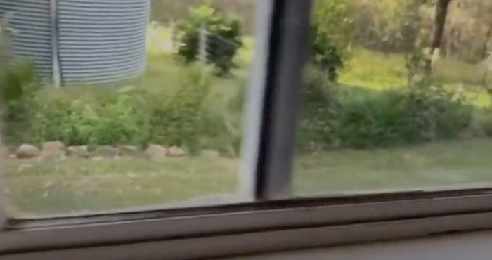 Osoba iz Australije snimila je zastrašujuć prizor na svojem prozoru