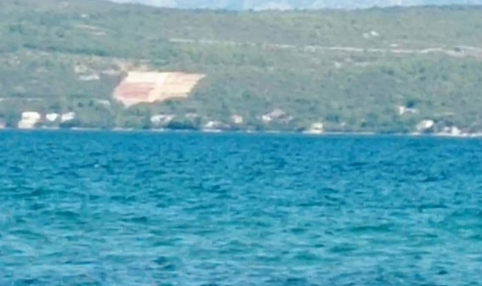 Netko je kod Novigrada snimio nesvakidašnje kupače, fotku je lajkalo više od 3 tisuće ljudi
