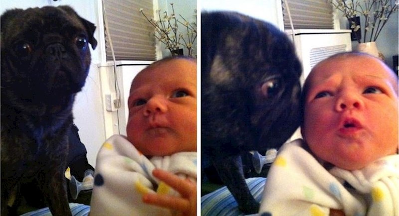 7. Budući najbolji frendovi