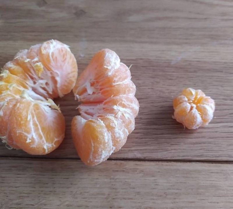 7. Mandarina koja unutar sebe ima još jednu mandarinu