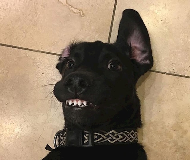 11.