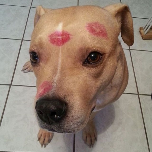 4. Netko je imao jaaaako uspješno Valentinovo🥰