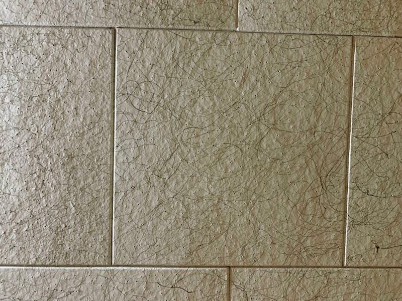 10. Dlakave pločice