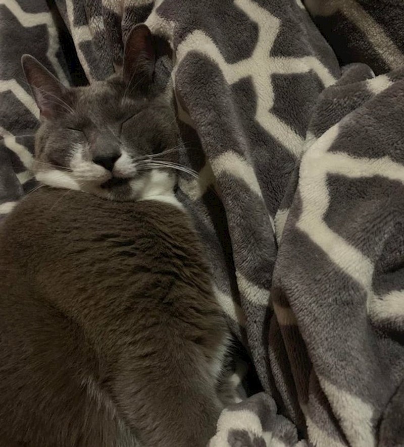 Agent 007 na dužnosti.