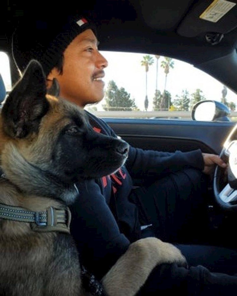 4. Moj dečko rekao je da ako uzmem psa, on ne želi imati veze s njim. Moram li napominjati da mu je on praktički vlasnik?