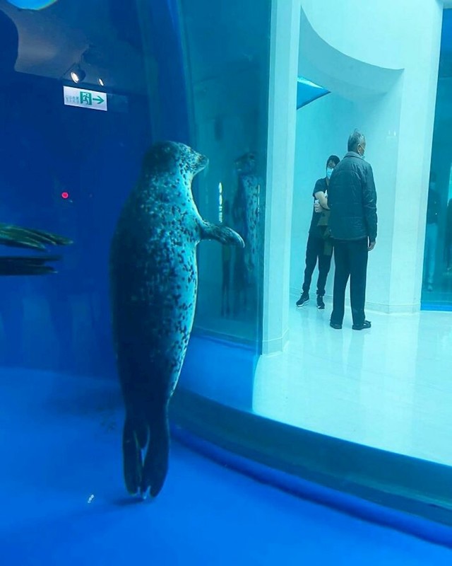 26.