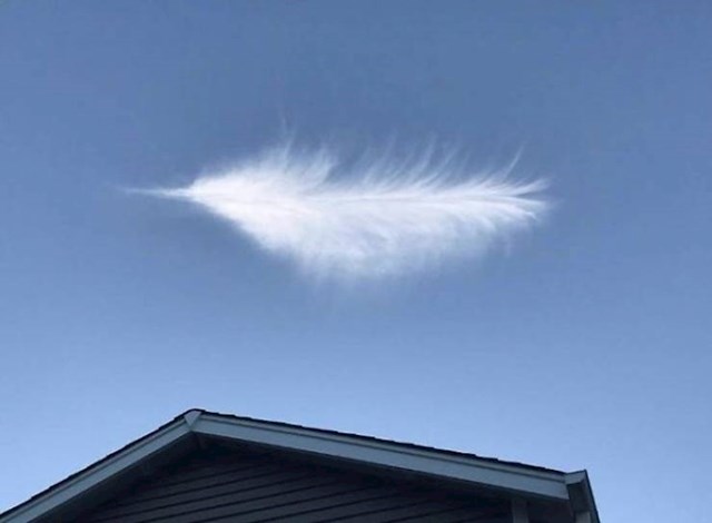11. Oblak koji izgleda poput pera