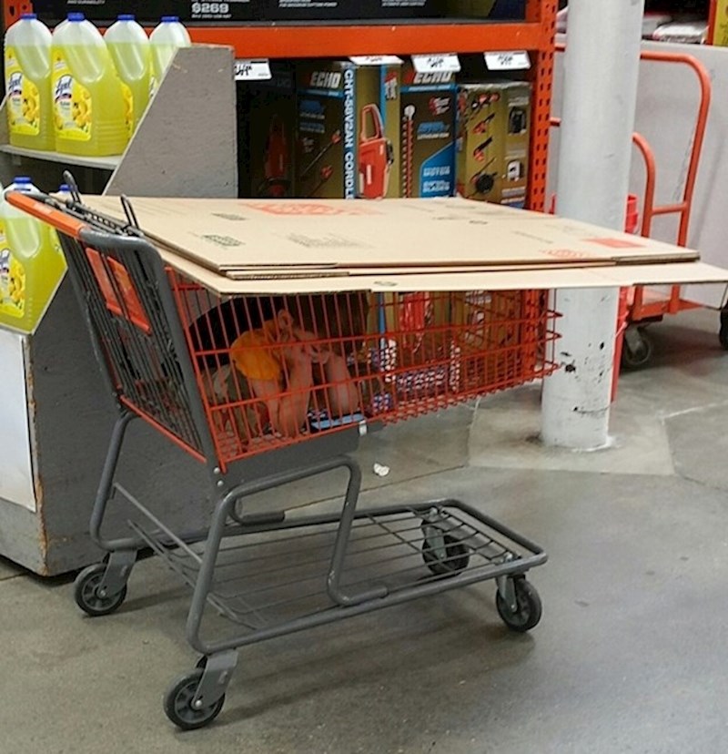 18. S tatom u dućanu