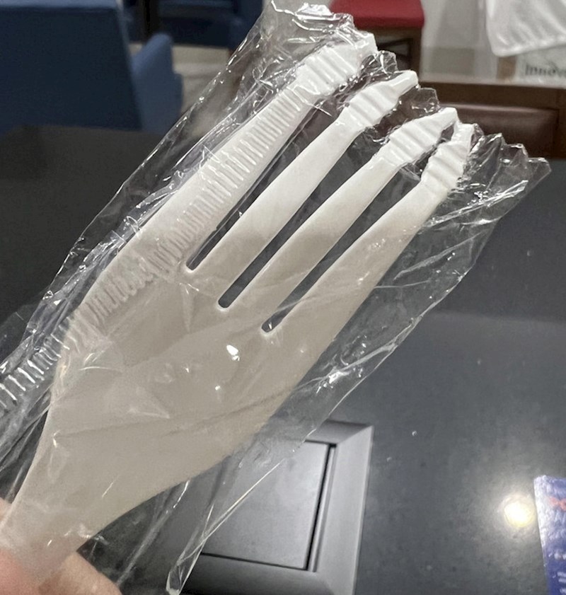 8. Vilica koja je svašta proživjela😁