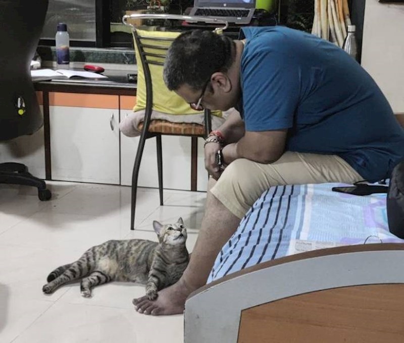 7. Rekao je da ju možemo hraniti, ali ne smije u kuću. Pogodite tko ju je prvi pustio...