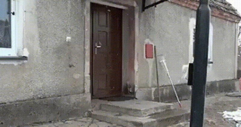 Pametni pas točno zna što treba napraviti da mu vlasnik otvori vrata kuće